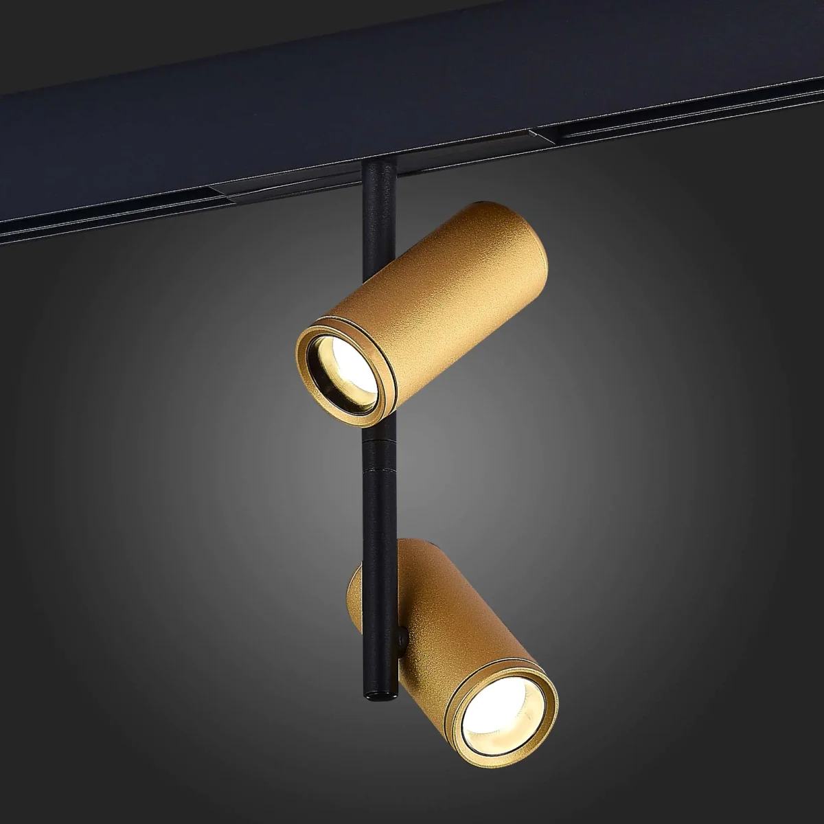 ST808.246.16 Магнитный трековый светильник Золотистый LED 1*16W 4000K 1 250Lm Ra>90 36° IP20 D45xH24 SKYLINE 48 — изображение 2