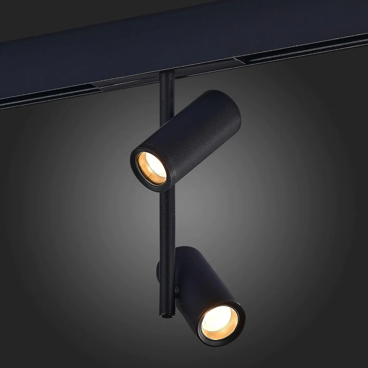 ST808.446.16 Магнитный трековый светильник Черный LED 1*16W 4000K 1 200Lm Ra>90 36° IP20 D45xH240 48 SKYLINE 48 — изображение 2