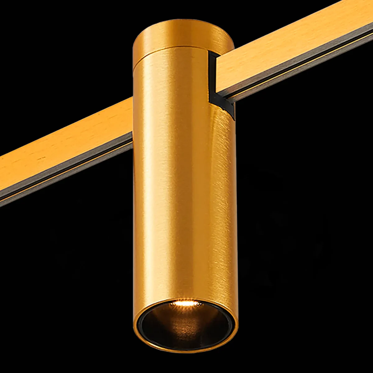 ST810.206.05_01B ST810.206.05 Магнитный трековый светильник FARM Золотистый LED 1*5W 3000K 230Lm Ra90 60 IP20 D35xH11 FARM — изображение 1