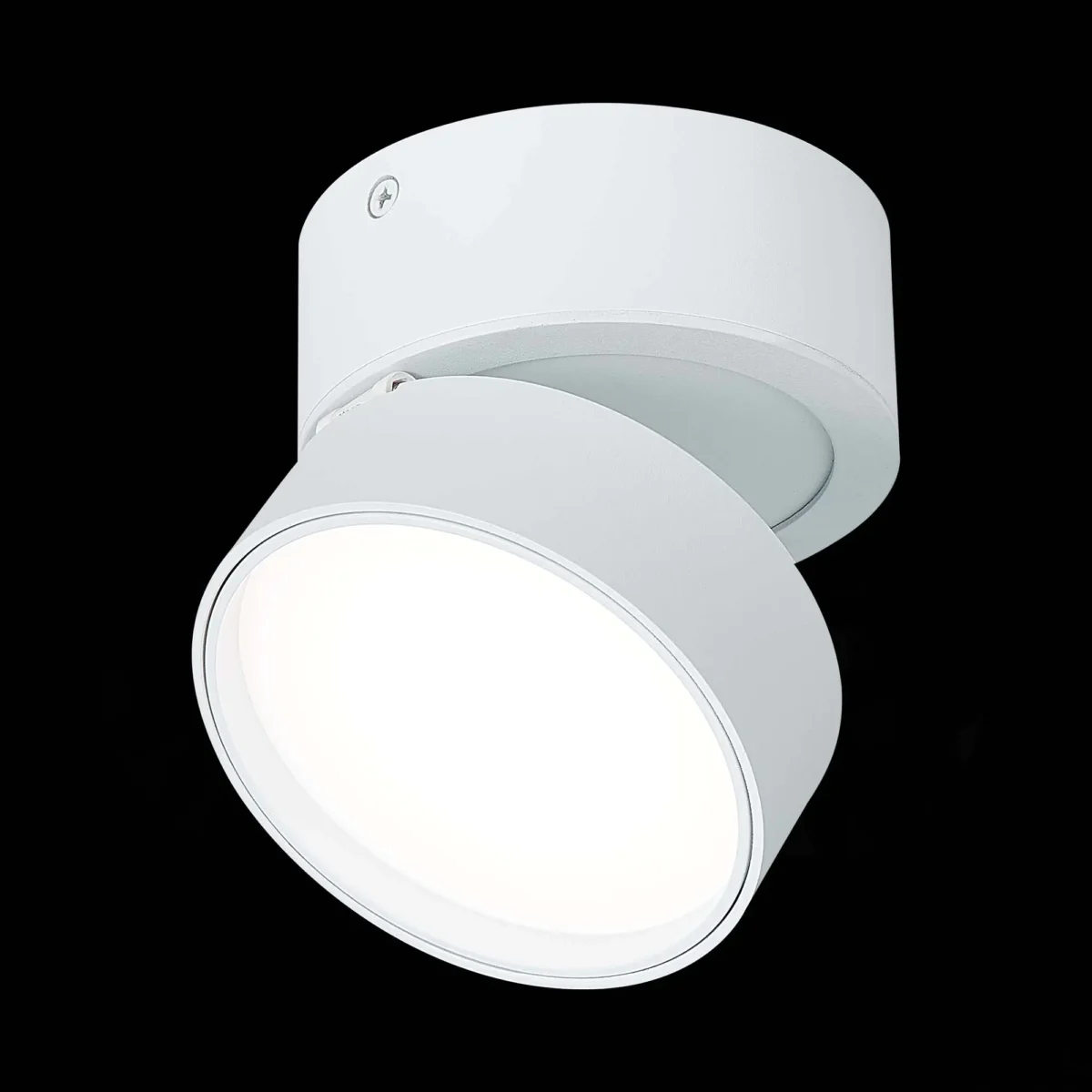 ST651.542.14 Светильник потолочный поворотный Белый LED 1*14W 4000K 1 100Lm Ra>90 120° IP20 D105xH88 Накладные светильники — изображение 1