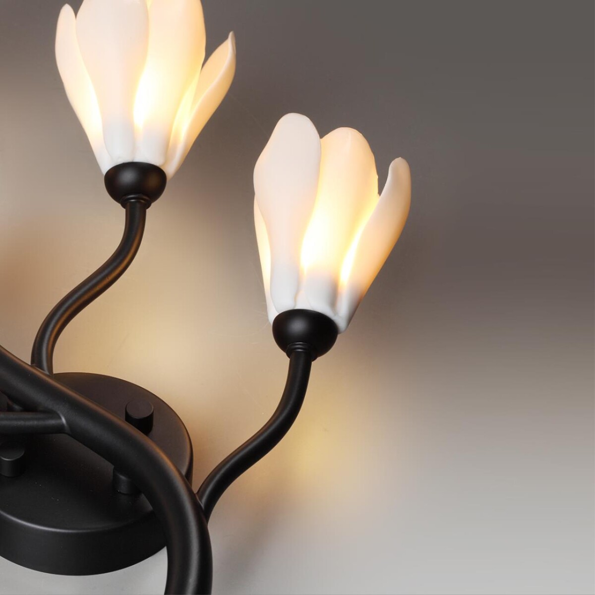 5090/5W MODERN ODL25 553 черный матовый/белый/фарфор Бра G4 LED 5*5W GARDI — изображение 6