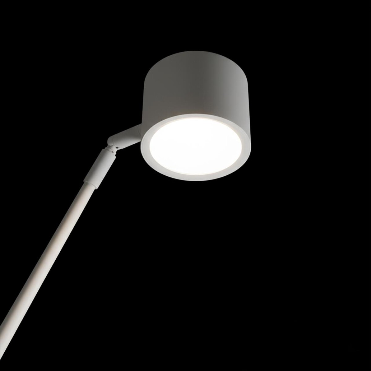 10374/2300 White Торшер LOFT IT Sampei — изображение 5