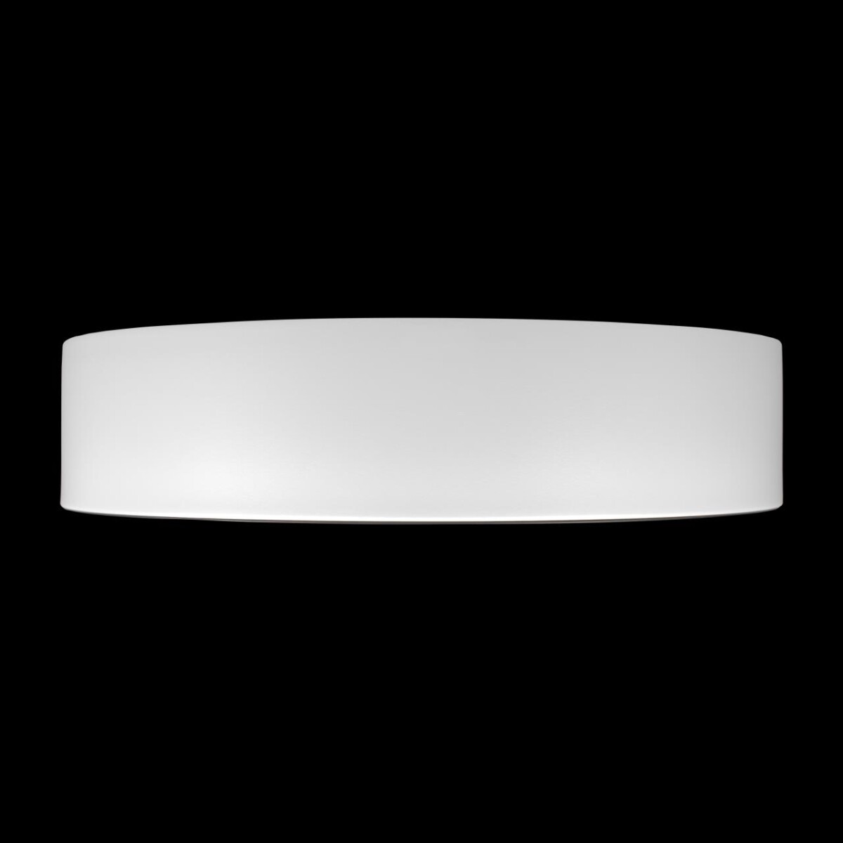 10202 WB  Потолочный светильник  LOFT IT Coin — изображение 5