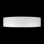 10202 WB  Потолочный светильник  LOFT IT Coin — изображение 5