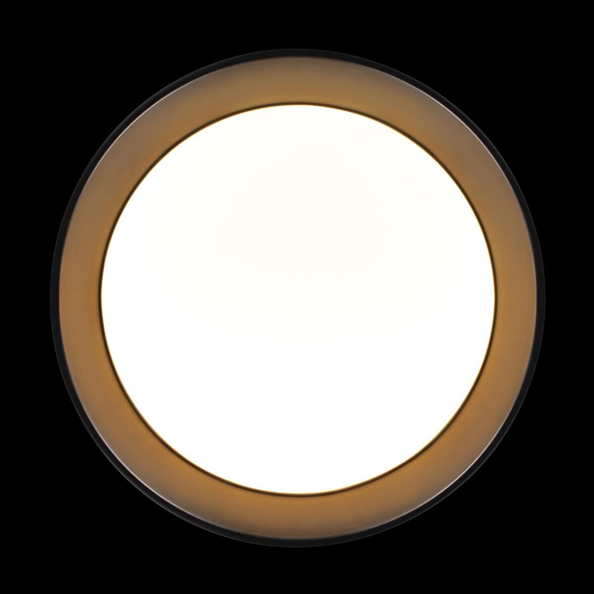 в наличии 10202 BB Потолочный светильник LOFT IT Coin - купить в интернет-магазине Светильники Торг