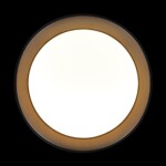 в наличии 10202 BB Потолочный светильник LOFT IT Coin - купить в интернет-магазине Светильники Торг