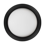 в наличии 10202 BB Потолочный светильник LOFT IT Coin - купить в интернет-магазине Светильники Торг