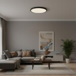 10454/500 Black  Потолочный светильник  LOFT IT Sweety — изображение 5