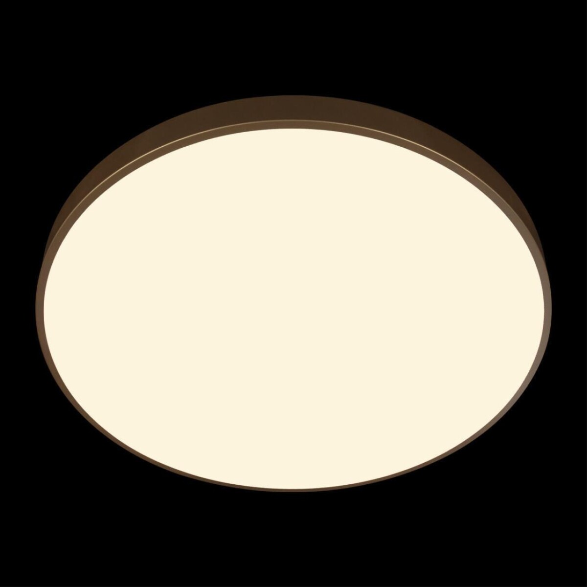 10228/B Потолочный светильник LOFT IT Flims — изображение 6