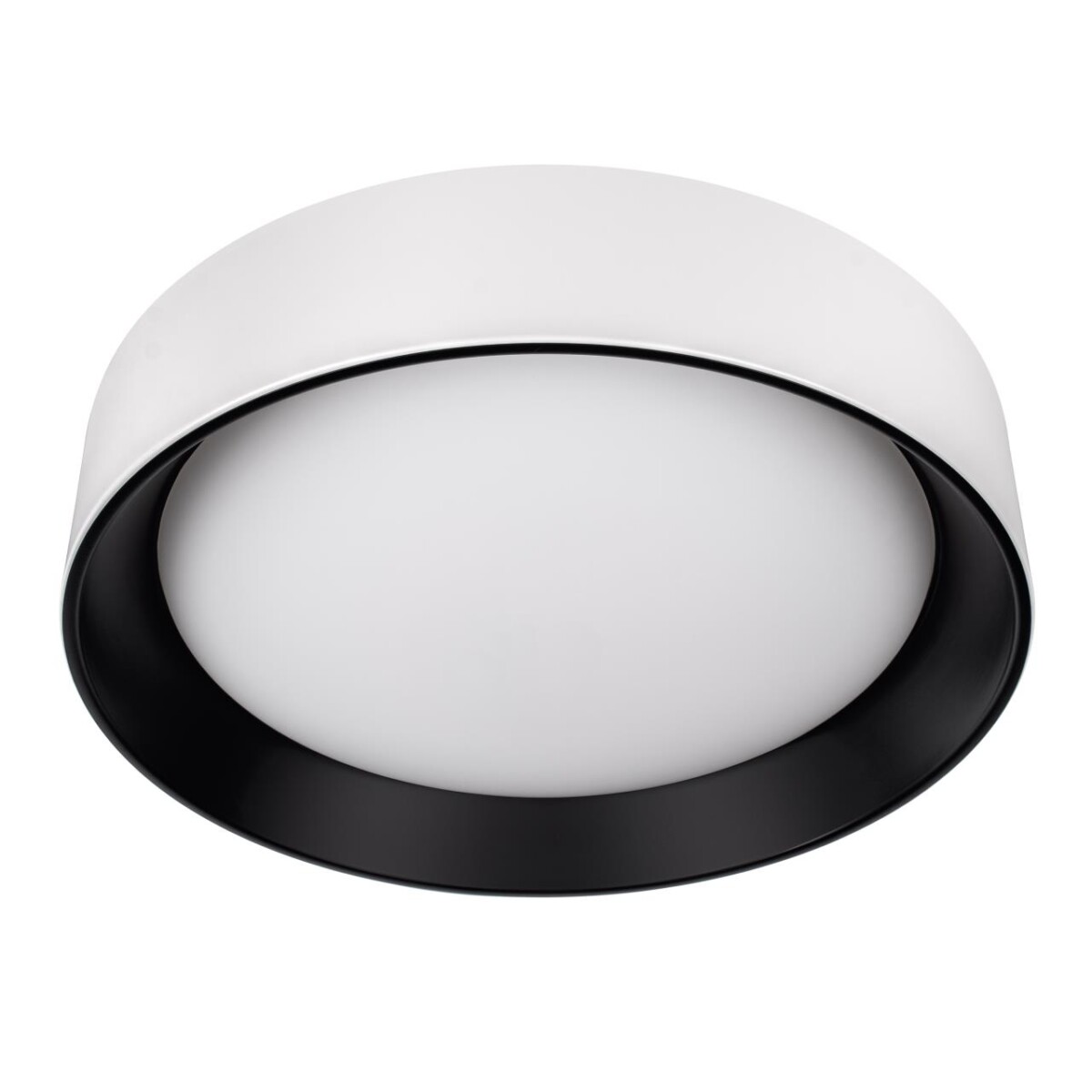 10202 WB  Потолочный светильник  LOFT IT Coin — изображение 1