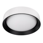 10202 WB  Потолочный светильник  LOFT IT Coin