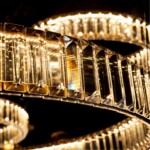 1135/17 SP-106 СВЕТИЛЬНИК ПОДВЕСНОЙ — изображение 4