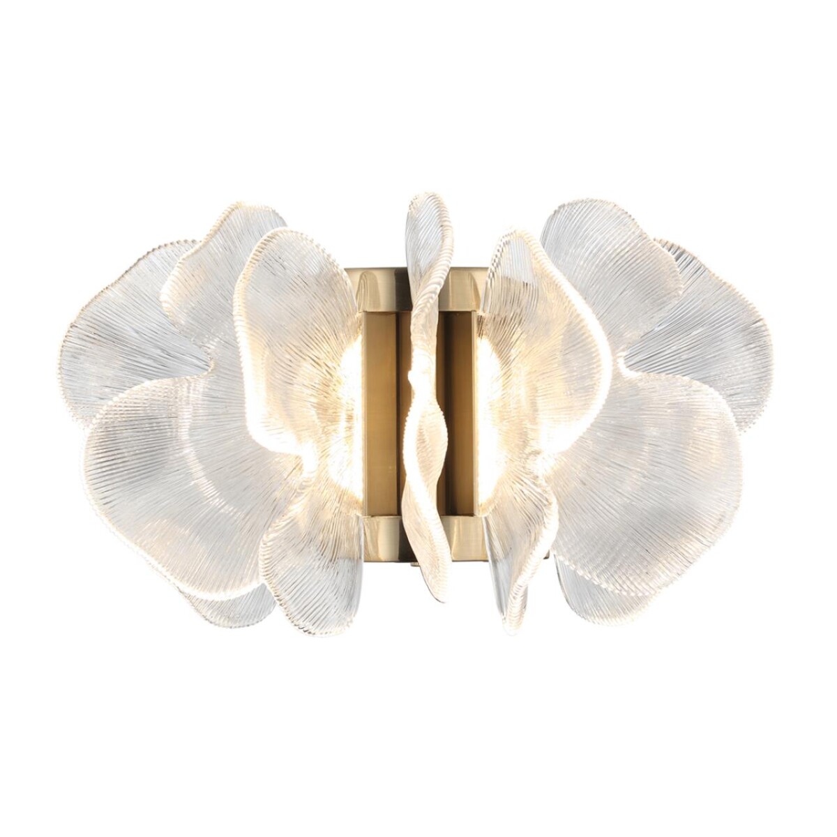 5089/25WL L-VISION ODL25 551 Бра 25W IP20 3500K 220V SIAMA — изображение 4