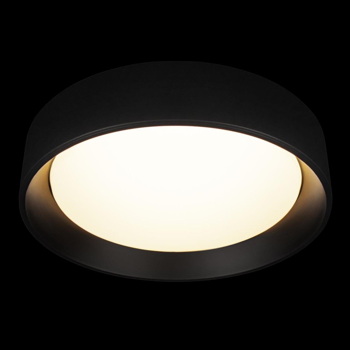 в наличии 10202 BB Потолочный светильник LOFT IT Coin - купить в интернет-магазине Светильники Торг