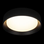 в наличии 10202 BB Потолочный светильник LOFT IT Coin - купить в интернет-магазине Светильники Торг