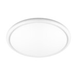 10454/500 White  Потолочный светильник  LOFT IT Sweety