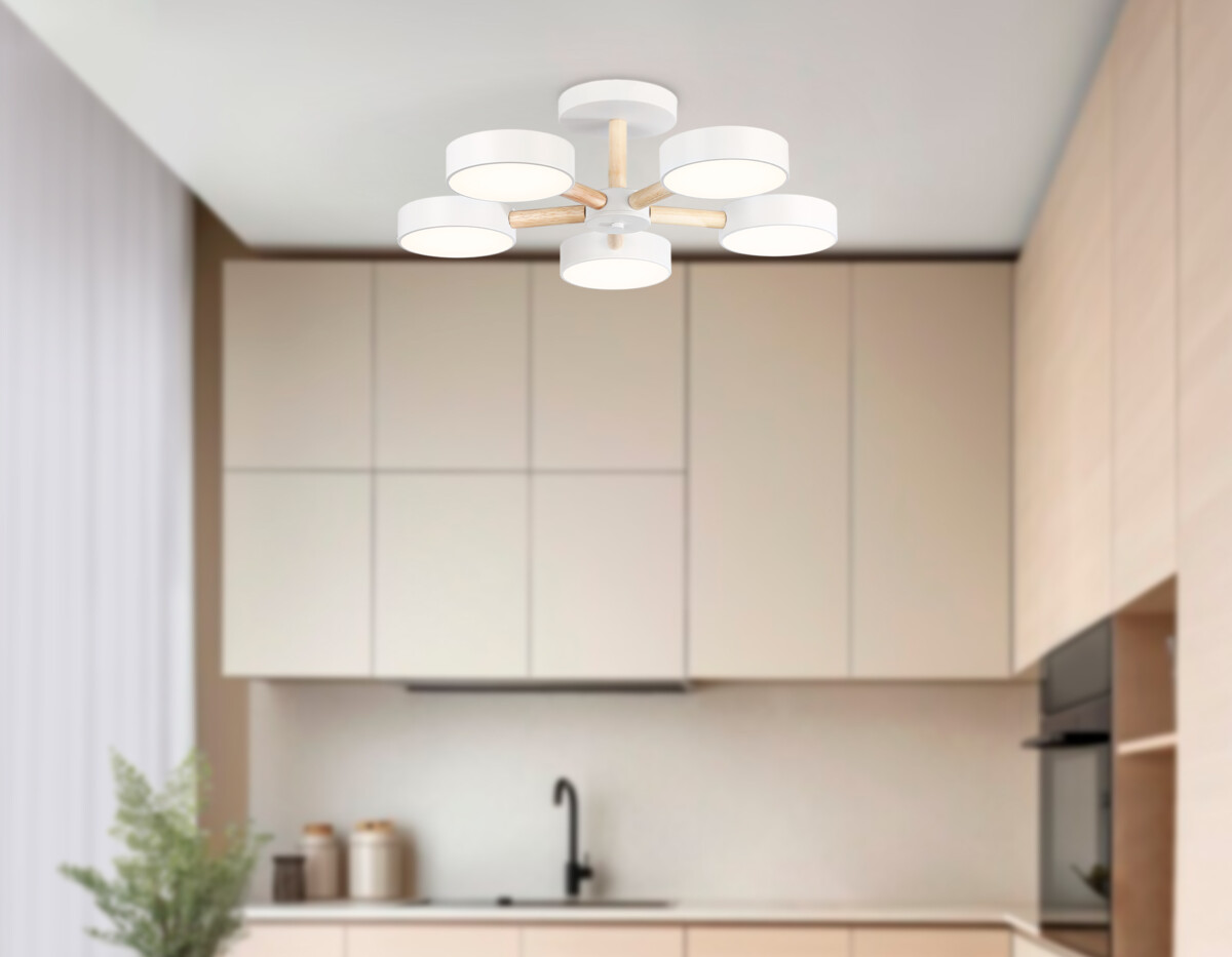 FL4825/5 WH белый 3000K-6400K 65W D580*160 (ПДУ ИК) — изображение 8