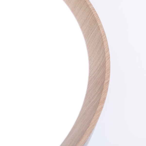 FZ1322 GR/LWD серый/светлое дерево IP20 60W 3000-6400K D490*80 (ПДУ ИК)