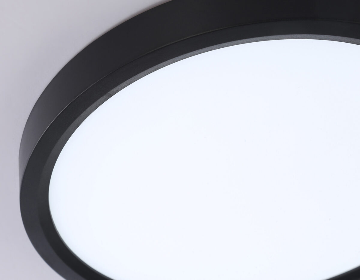 FZ1902_macro1 FZ1902 BK черный IP54 13W 3000K-6500K CCT-переключатель D230*25 (Без ПДУ) — изображение 1