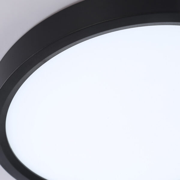 FZ1902 BK черный IP54 13W 3000K-6500K CCT-переключатель D230*25 (Без ПДУ)