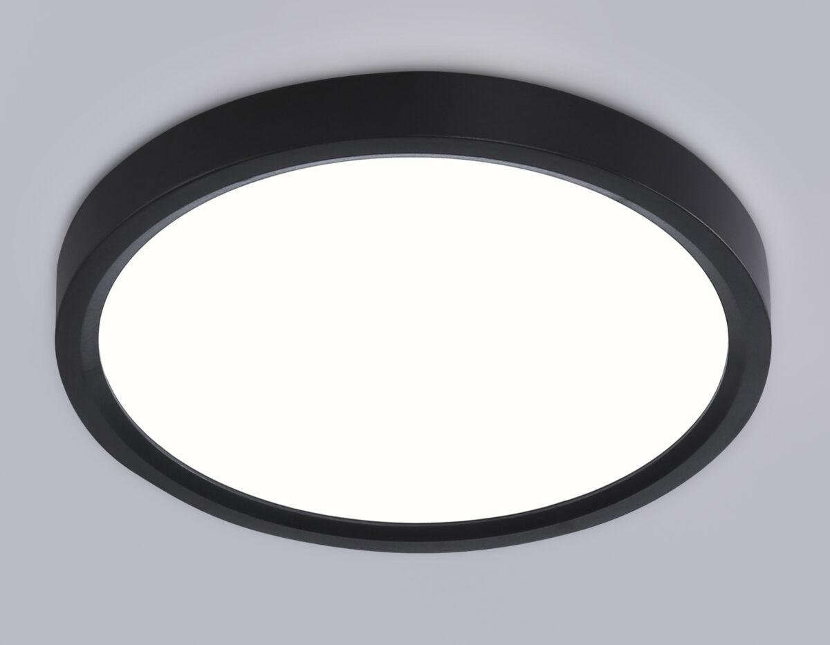 FZ1902 BK черный IP54 13W 3000K-6500K CCT-переключатель D230*25 (Без ПДУ) — изображение 2