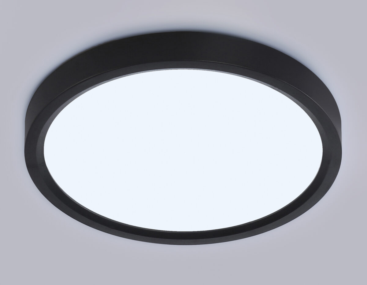 FZ1902 BK черный IP54 13W 3000K-6500K CCT-переключатель D230*25 (Без ПДУ) — изображение 4