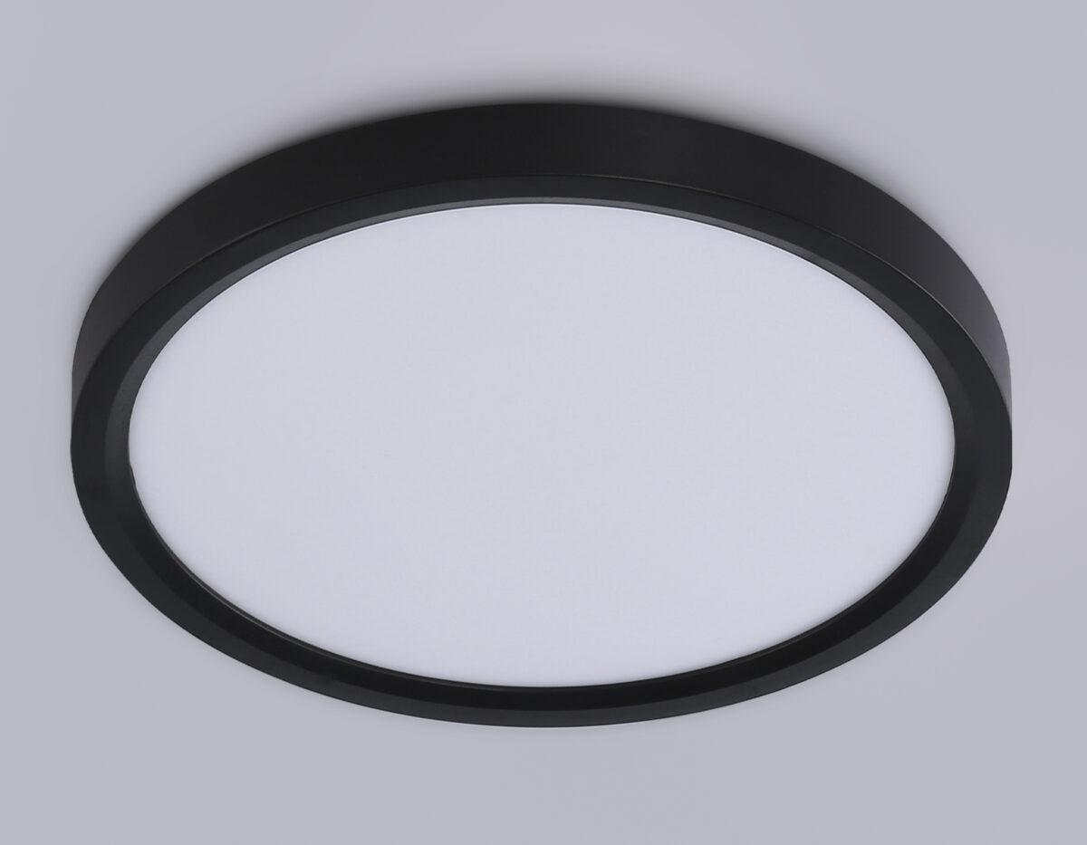 FZ1902 BK черный IP54 13W 3000K-6500K CCT-переключатель D230*25 (Без ПДУ) — изображение 5