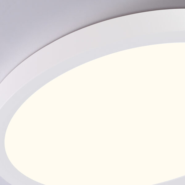 FZ1903 WH белый IP54 20W 3000K-6500K CCT-переключатель D300*25 (Без ПДУ)