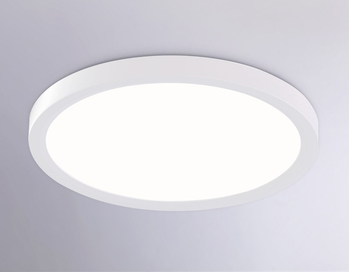 FZ1903 WH белый IP54 20W 3000K-6500K CCT-переключатель D300*25 (Без ПДУ) — изображение 2