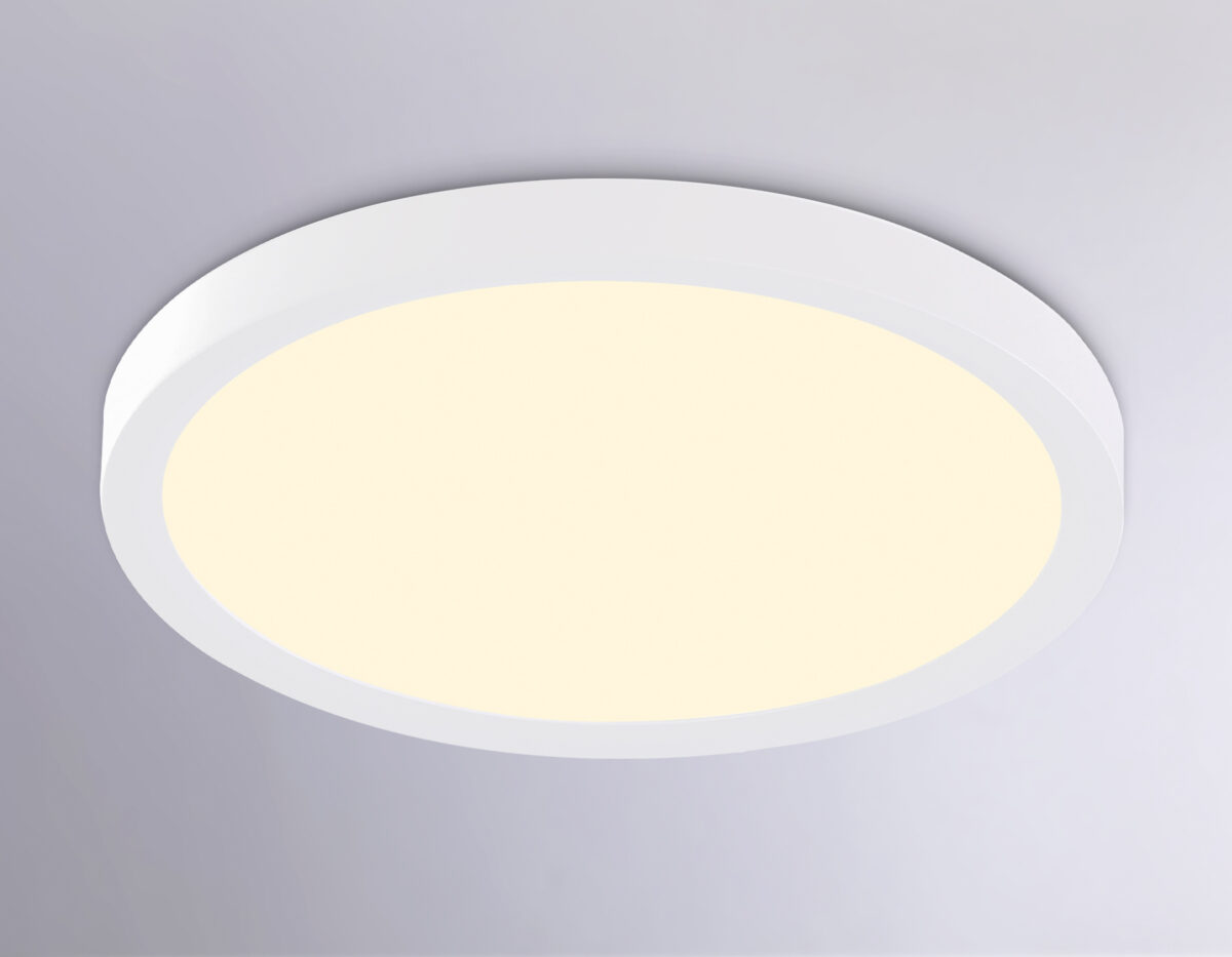 FZ1903 WH белый IP54 20W 3000K-6500K CCT-переключатель D300*25 (Без ПДУ) — изображение 3