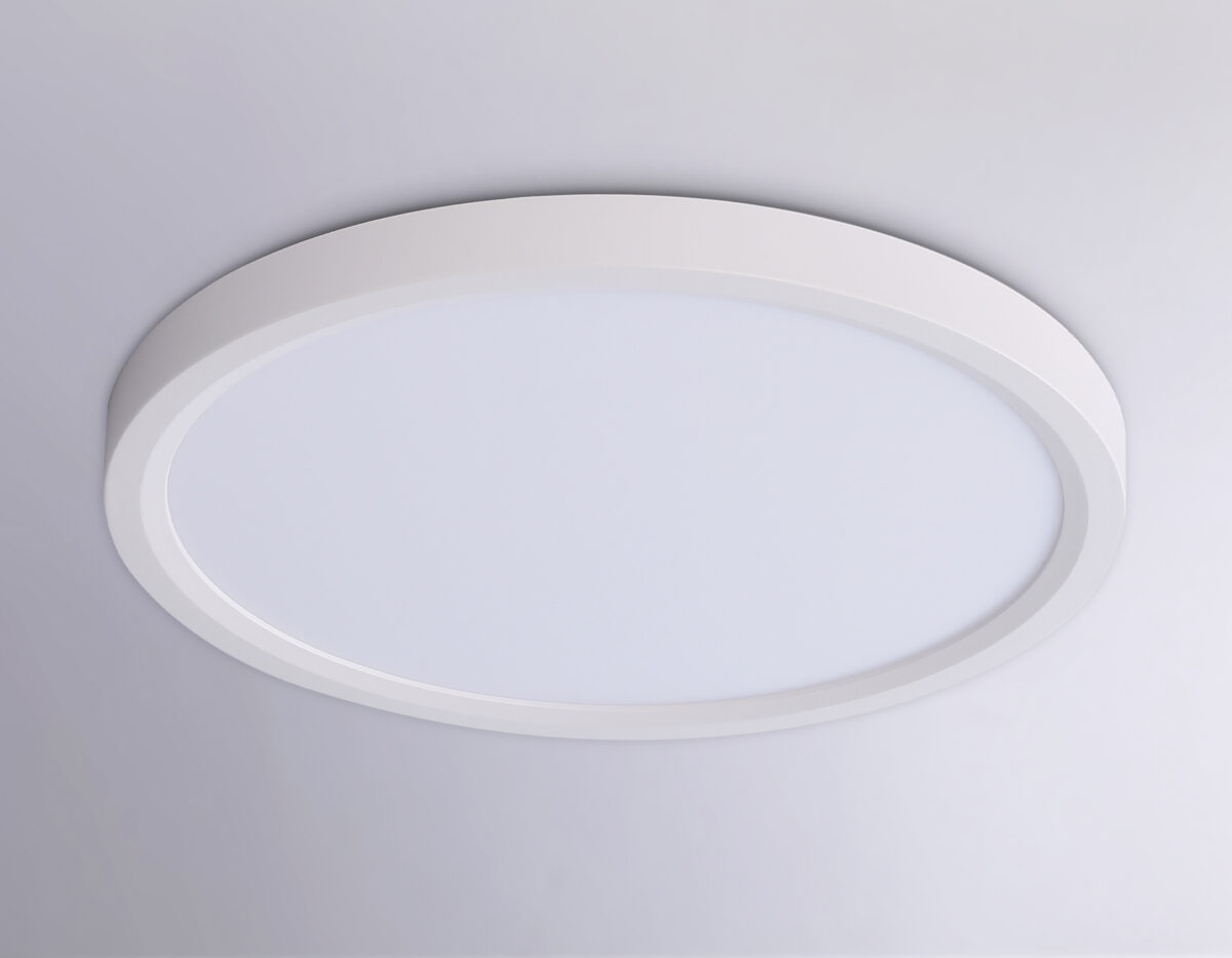 FZ1903 WH белый IP54 20W 3000K-6500K CCT-переключатель D300*25 (Без ПДУ) — изображение 5