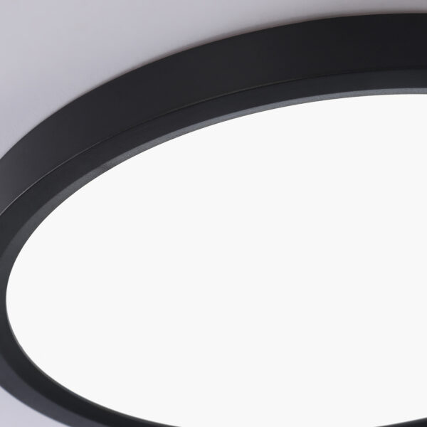 FZ1904 BK черный IP54 20W 3000K-6500K CCT-переключатель D300*25 (Без ПДУ)