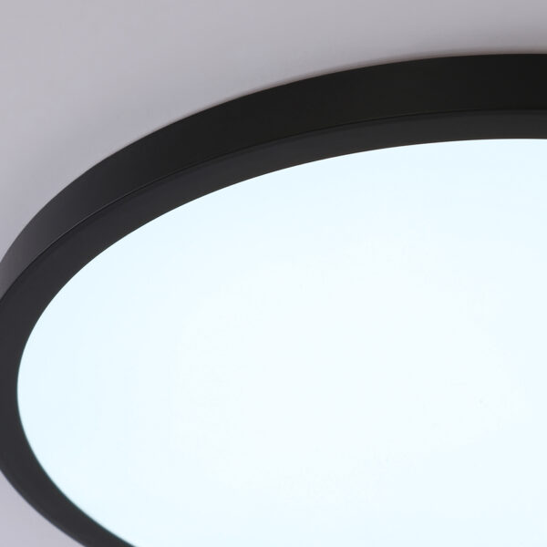 FZ1961 BK черный IP54 40W 5000K D470*15 (Без ПДУ)