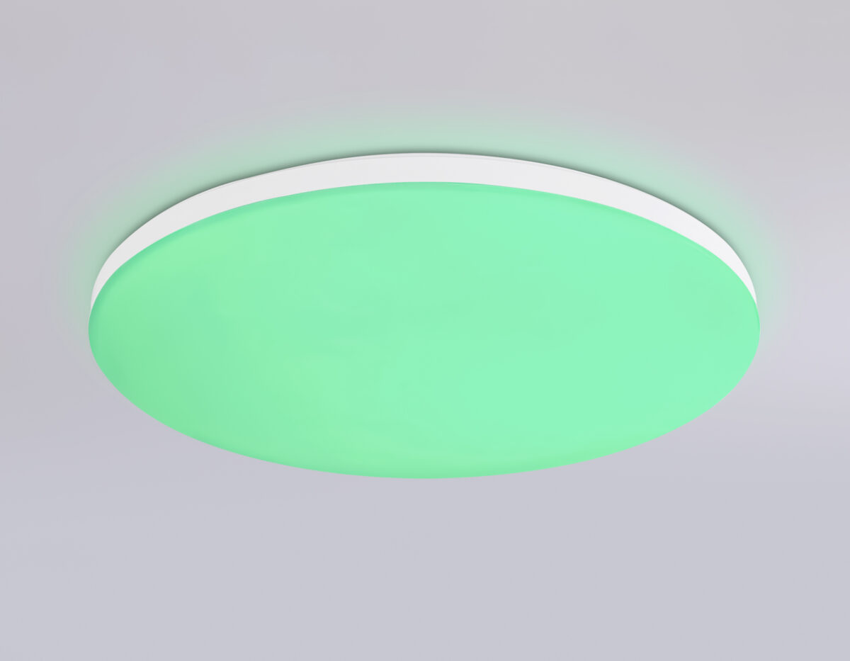 FZ2001 WH белый IP54 20W 3000K-6500K+RGB Wi-Fi Алиса/Tuya/Smart Home/Alexa D300*55 (ПДУ ИК) — изображение 3