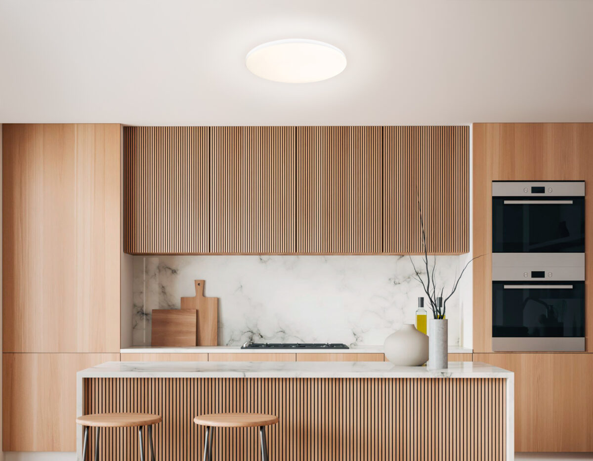 FZ2001 WH белый IP54 20W 3000K-6500K+RGB Wi-Fi Алиса/Tuya/Smart Home/Alexa D300*55 (ПДУ ИК) — изображение 7