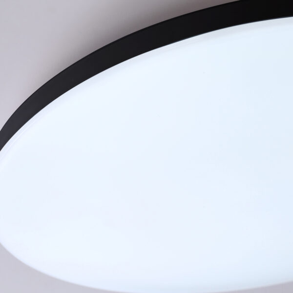 FZ2004 BK черный IP54 20W 3000K-6500K+RGB Wi-Fi Алиса/Tuya/Smart Home/Alexa D300*55 (ПДУ ИК)