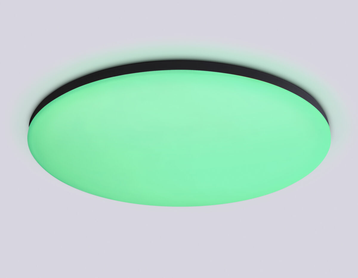 FZ2005 BK черный IP54 25W 3000K-6500K+RGB Wi-Fi Алиса/Tuya/Smart Home/Alexa D370*55 (ПДУ ИК) — изображение 3