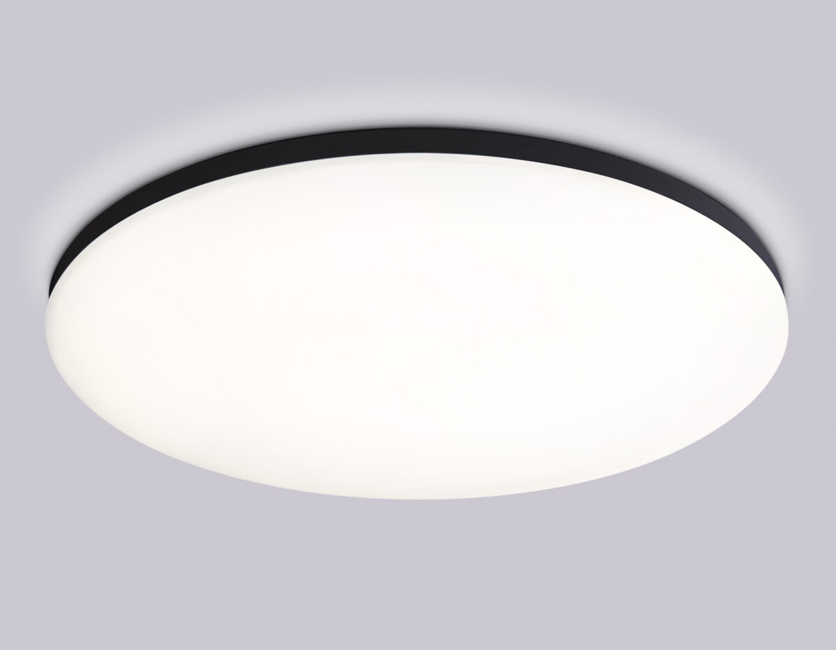 FZ2006 BK черный IP54 30W 3000K-6500K+RGB Wi-Fi Алиса/Tuya/Smart Home/Alexa D450*60 (ПДУ ИК) — изображение 2