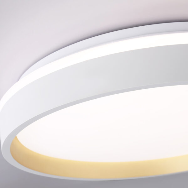 FZ601 WH/GD белый/золото IP20 46W 3000K-6500K+RGB D390*80 (ПДУ ИК)