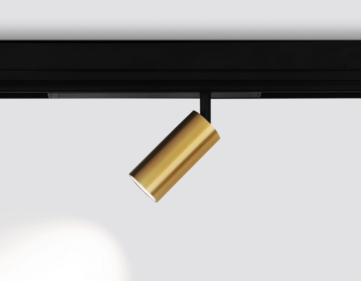 GL1213 GD золото IP20 12W 3000K-6400K 220V 36° D45*100 (Без ПДУ) — изображение 2