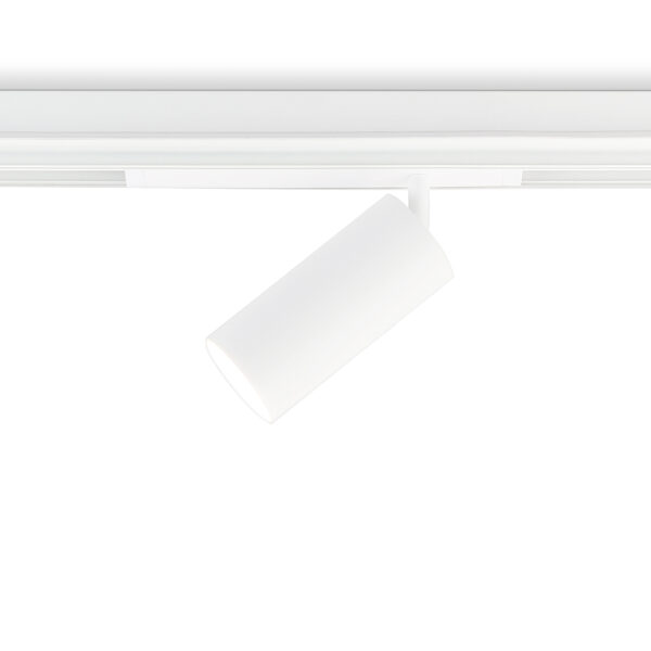 GL1231 WH белый IP20 24W 3000K-6400K 220V 36° D65*140 (Без ПДУ)