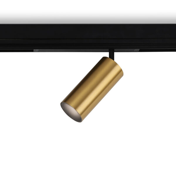 GL1233 GD золото IP20 24W 3000K-6400K 220V 36° D65*140 (Без ПДУ)