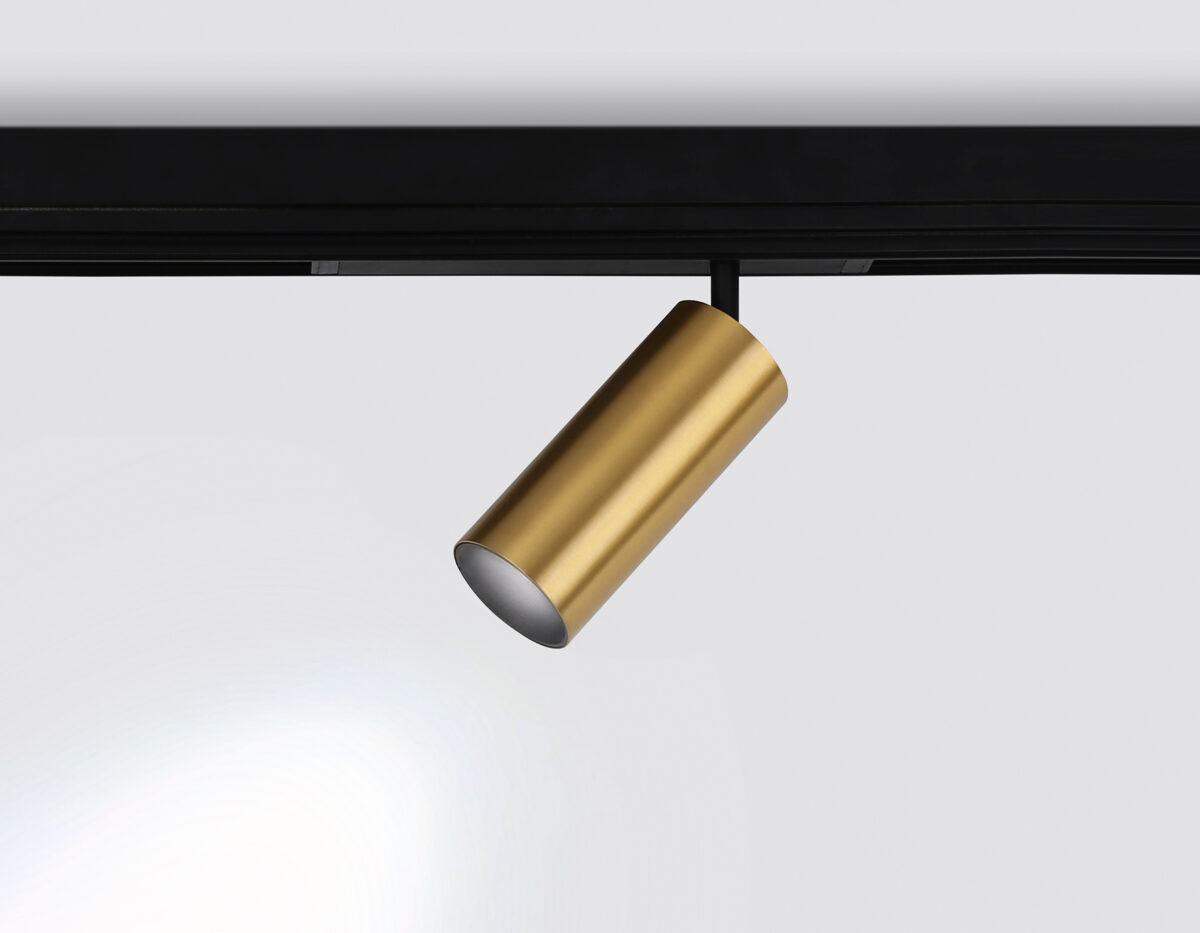 GL1233 GD золото IP20 24W 3000K-6400K 220V 36° D65*140 (Без ПДУ) — изображение 4