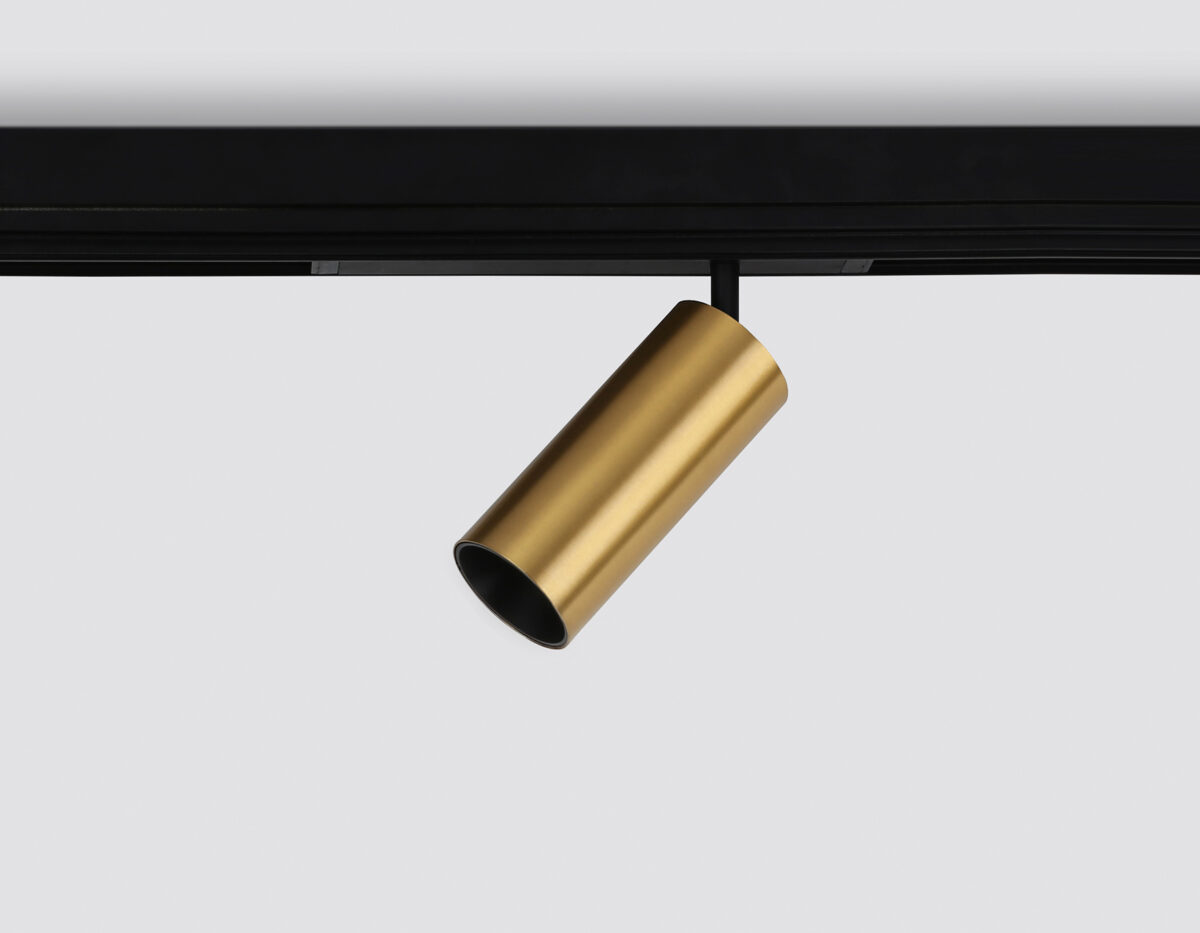 GL1233 GD золото IP20 24W 3000K-6400K 220V 36° D65*140 (Без ПДУ) — изображение 5