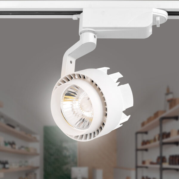 GL6103 WH белый LED 10W 4200K 24°