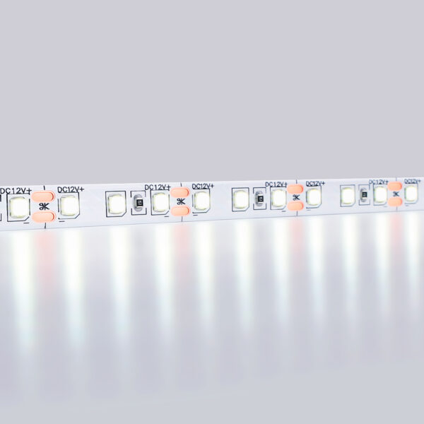 GS1203 2835 120Led/ 9.6W m/ 12V IP65 6500K/ 5000*8*2.27mm (2 конт.)