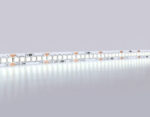GS1503 2835 240Led/ 19.2W m/ 12V IP20 6500K/ 5000*10*1.2mm (2 конт.)
