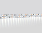 GS1603 2835 240Led/ 19.2W m/ 12V IP20 6500K/ 5000*14*1.2mm (2 конт.)