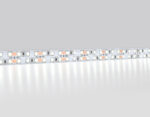 GS1703 2835 240Led/ 24W m/ 12V IP20 6500K/ 5000*10*1.2mm (2 конт.)