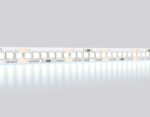 GS3503 2835 240Led /22W m/ 24V IP20 6500K/ 5000*10*1.2mm (2 конт.)